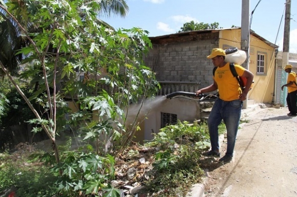 DGDC extiende hasta Los Girasoles campaña de fumigación contra el mosquito transmisor del dengue
